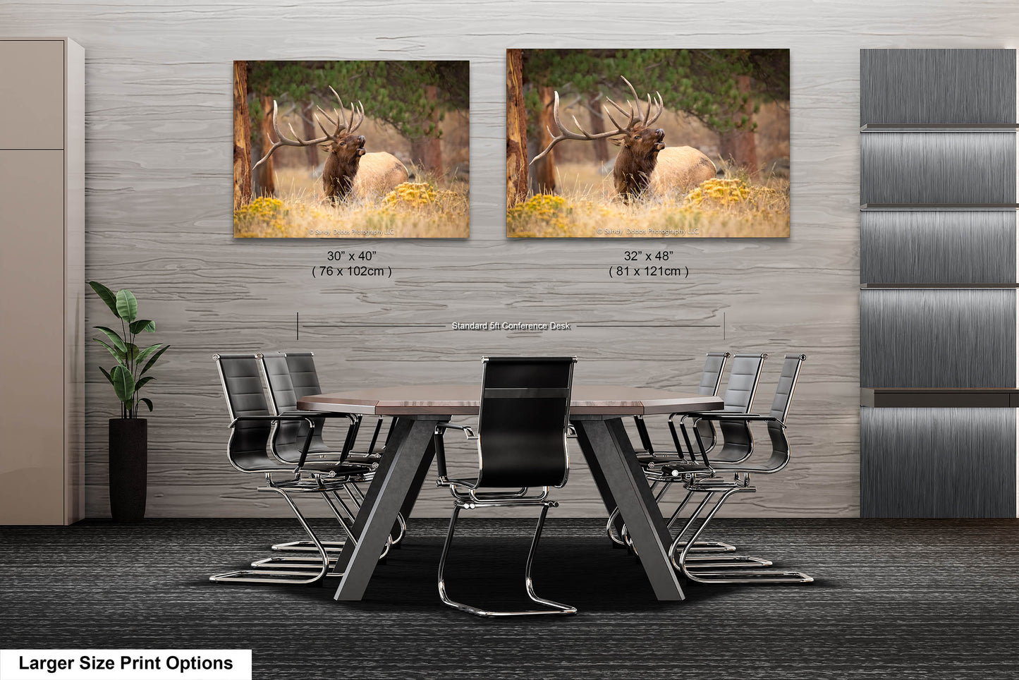 Bull Elk Bugling, Wildlife Wall Canvas, Rocky Mountain National Park, Colorado Canvas Art Prints, Elk Photography, Made in the USA