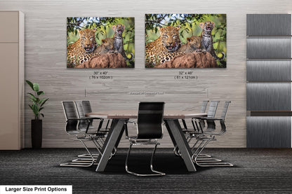 Leopard Mother with Cubs African Safari