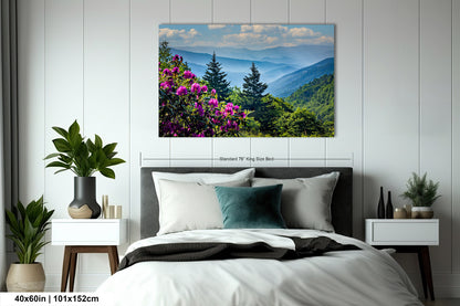 Blue Ridge Mountains and Rhododendrons, Blue Ridge Parkway, North Carolina, Photography wall art