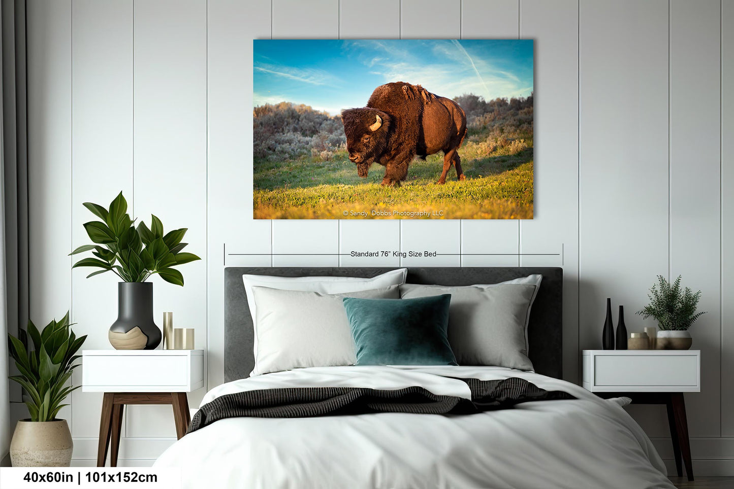 Buffalo Canvas Print, Bison Photograph, Yellowstone National Park Wildlife Photography, Wildlife Wall Art Decor, by Original Photographer