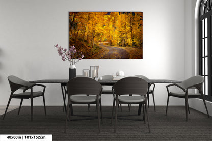Colorado Aspens, Curvy road, autumn color, Little Cimarron Valley, Rocky Mountains, golden leaves, Photography wall art