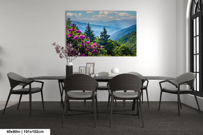 Blue Ridge Mountains and Rhododendrons, Blue Ridge Parkway, North Carolina, Photography wall art