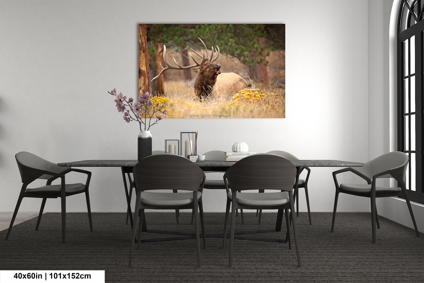 Bull Elk Bugling, Wildlife Wall Canvas, Rocky Mountain National Park, Colorado Canvas Art Prints, Elk Photography, Made in the USA