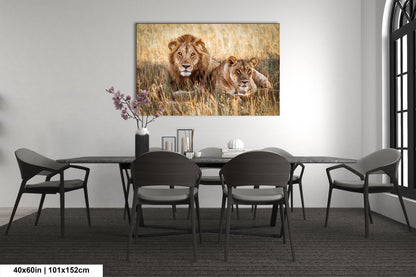 Lion Pair African Safari