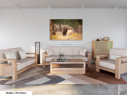 Bull Elk Bugling, Wildlife Wall Canvas, Rocky Mountain National Park, Colorado Canvas Art Prints, Elk Photography, Made in the USA