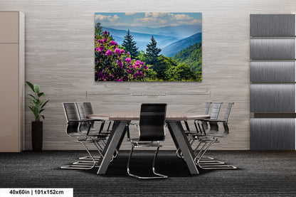 Blue Ridge Mountains and Rhododendrons, Blue Ridge Parkway, North Carolina, Photography wall art