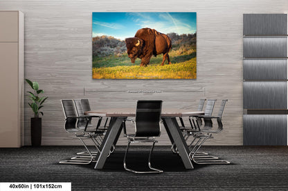 Buffalo Canvas Print, Bison Photograph, Yellowstone National Park Wildlife Photography, Wildlife Wall Art Decor, by Original Photographer