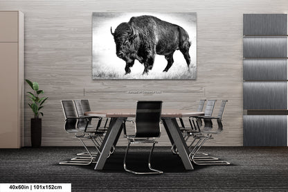 American Buffalo Original Canvas Art | Bison Canvas Print Wall Art | Buffalo Home and Office Art Print Wall Decor | Black & White Print