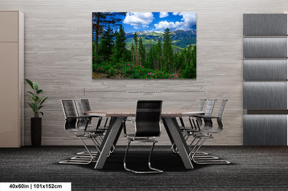 Breckenridge Colorado summertime picture, Breckenridge wall art, wildflowers of Colorado, mountain wall art, extra large wall art