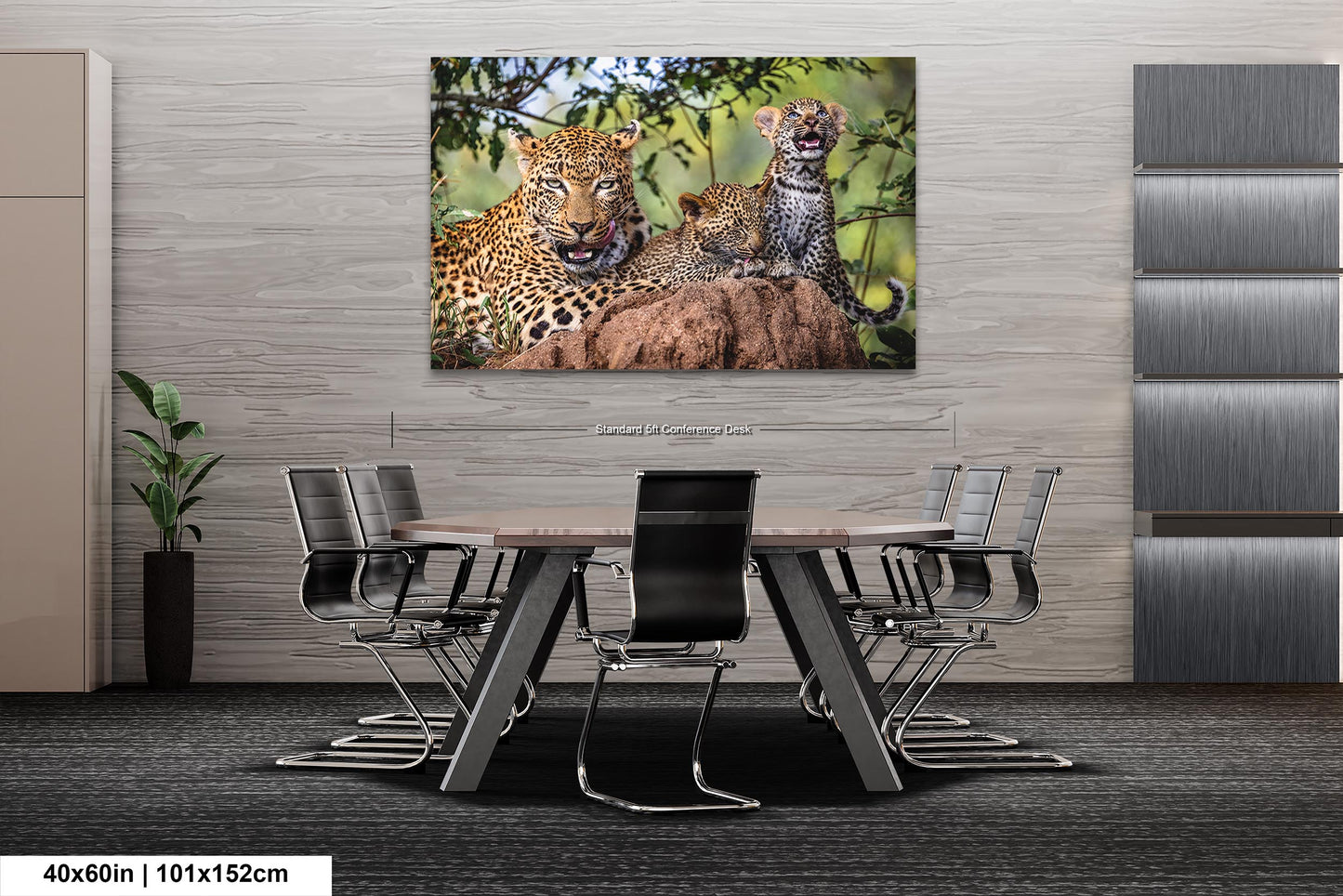 Leopard Mother with Cubs African Safari