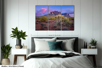 Lost Dutchman State Park, Superstition Mountains, Arizona Photography Wall Art