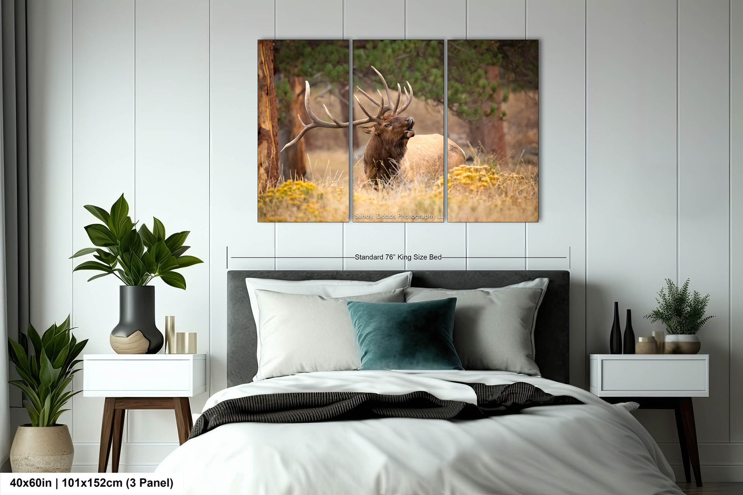 Bull Elk Bugling, Wildlife Wall Canvas, Rocky Mountain National Park, Colorado Canvas Art Prints, Elk Photography, Made in the USA