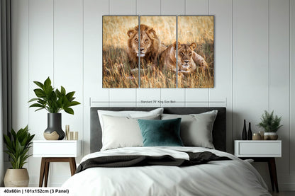 Lion Pair African Safari