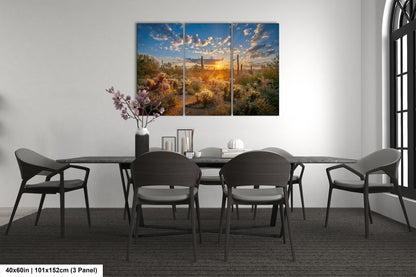 Sonoran Desert Sunrise, Carefree Arizona, backlit saguaro cactus and cholla cactus, Photography wall art