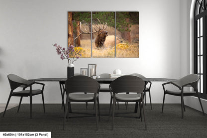 Bull Elk Bugling, Wildlife Wall Canvas, Rocky Mountain National Park, Colorado Canvas Art Prints, Elk Photography, Made in the USA