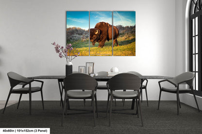 Buffalo Canvas Print, Bison Photograph, Yellowstone National Park Wildlife Photography, Wildlife Wall Art Decor, by Original Photographer