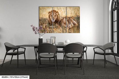 Lion Pair African Safari