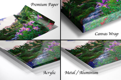 Three Waterfalls and Colorado Columbine, Misty Valley, Yankee Boy Basin, Ouray Colorado, Little Switzerland, Red Mountain Pass, Sneffel Creek