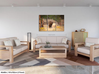 Bull Elk Bugling, Wildlife Wall Canvas, Rocky Mountain National Park, Colorado Canvas Art Prints, Elk Photography, Made in the USA