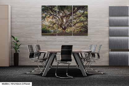 New Orleans Elegance: Wall Art Print Audubon Park's Iconic Tree of Life New Orleans, Louisiana Spanish Moss