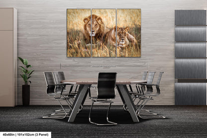 Lion Pair African Safari