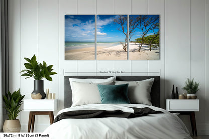 Florida Beach