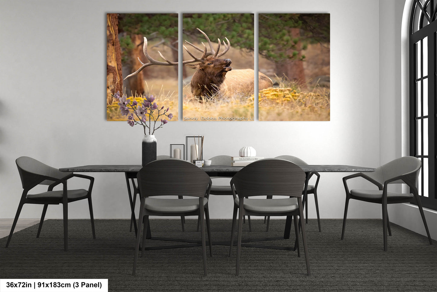 Bull Elk Bugling, Wildlife Wall Canvas, Rocky Mountain National Park, Colorado Canvas Art Prints, Elk Photography, Made in the USA