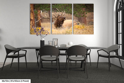 Bull Elk Bugling, Wildlife Wall Canvas, Rocky Mountain National Park, Colorado Canvas Art Prints, Elk Photography, Made in the USA