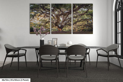 New Orleans Elegance: Wall Art Print Audubon Park's Iconic Tree of Life New Orleans, Louisiana Spanish Moss
