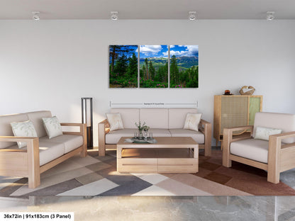 Breckenridge Colorado summertime picture, Breckenridge wall art, wildflowers of Colorado, mountain wall art, extra large wall art