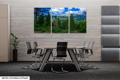 Breckenridge Colorado summertime picture, Breckenridge wall art, wildflowers of Colorado, mountain wall art, extra large wall art
