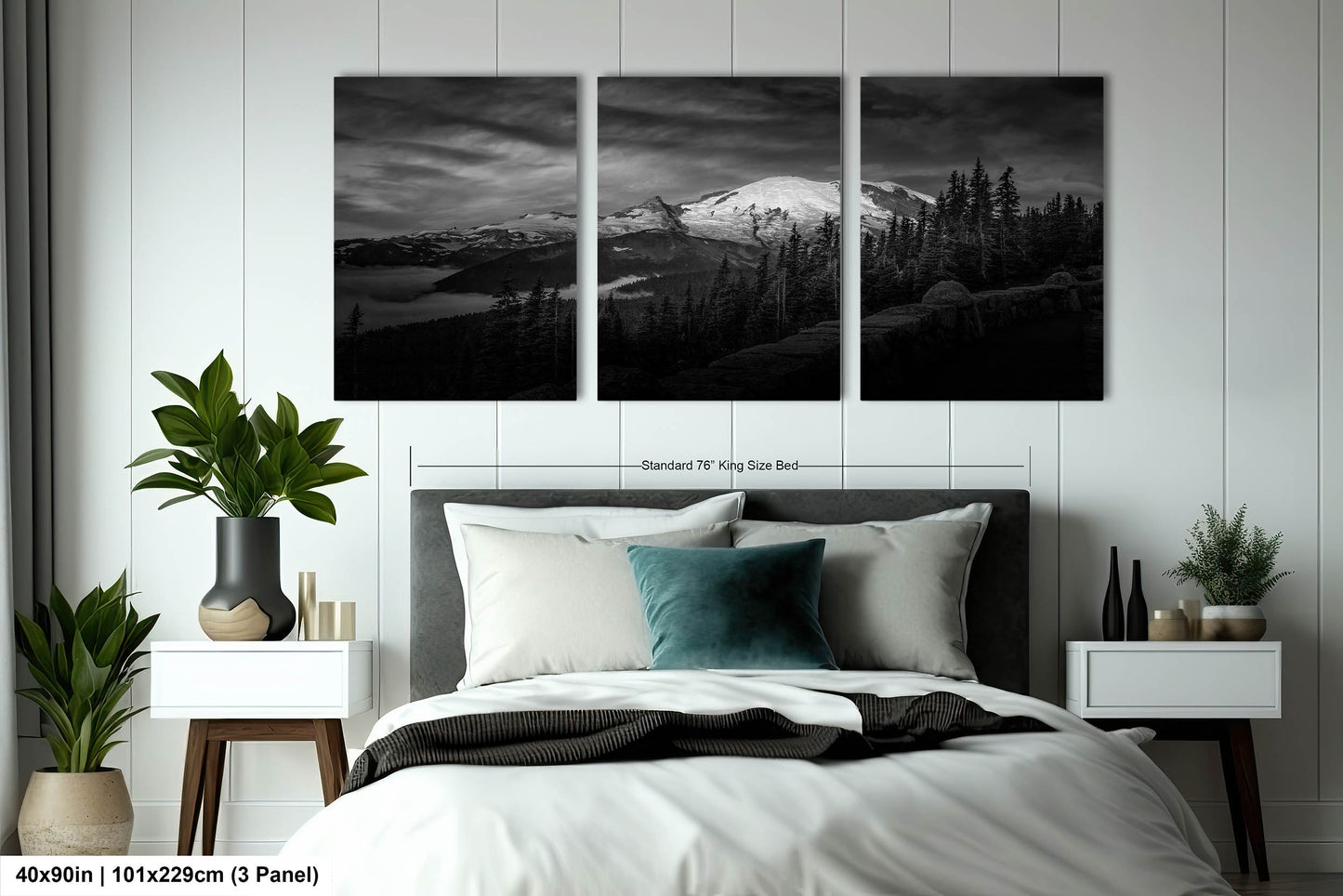 Mt Rainier Sunrise Photo Black and White Print, Mt Rainier National Park, Photography Landscape Canvas Wall Art Print, Washington Landscape
