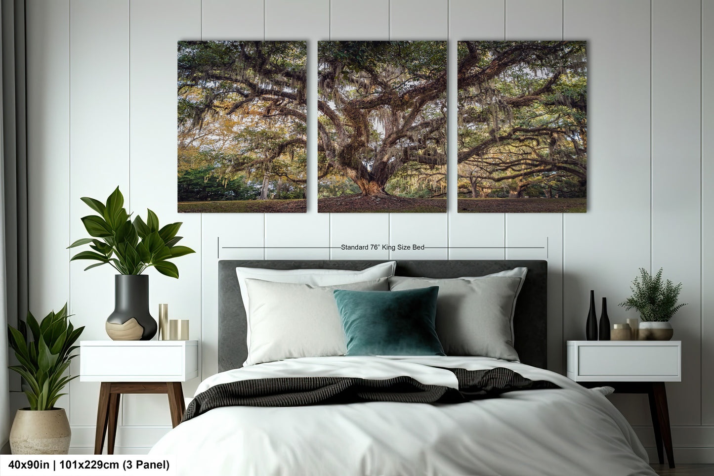 New Orleans Elegance: Wall Art Print Audubon Park's Iconic Tree of Life New Orleans, Louisiana Spanish Moss