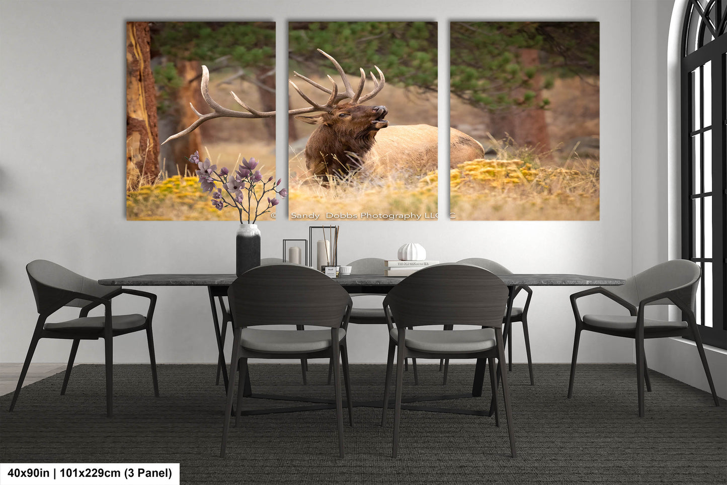 Bull Elk Bugling, Wildlife Wall Canvas, Rocky Mountain National Park, Colorado Canvas Art Prints, Elk Photography, Made in the USA