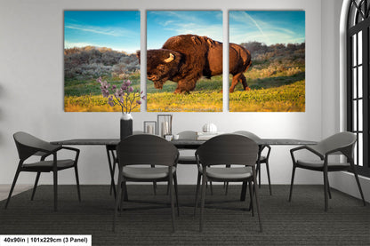 Buffalo Canvas Print, Bison Photograph, Yellowstone National Park Wildlife Photography, Wildlife Wall Art Decor, by Original Photographer