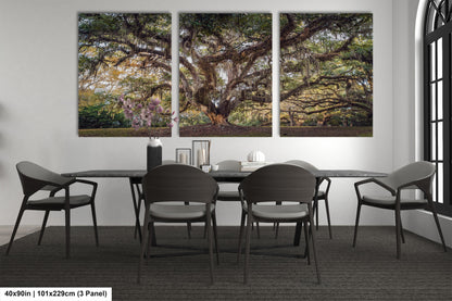 New Orleans Elegance: Wall Art Print Audubon Park's Iconic Tree of Life New Orleans, Louisiana Spanish Moss