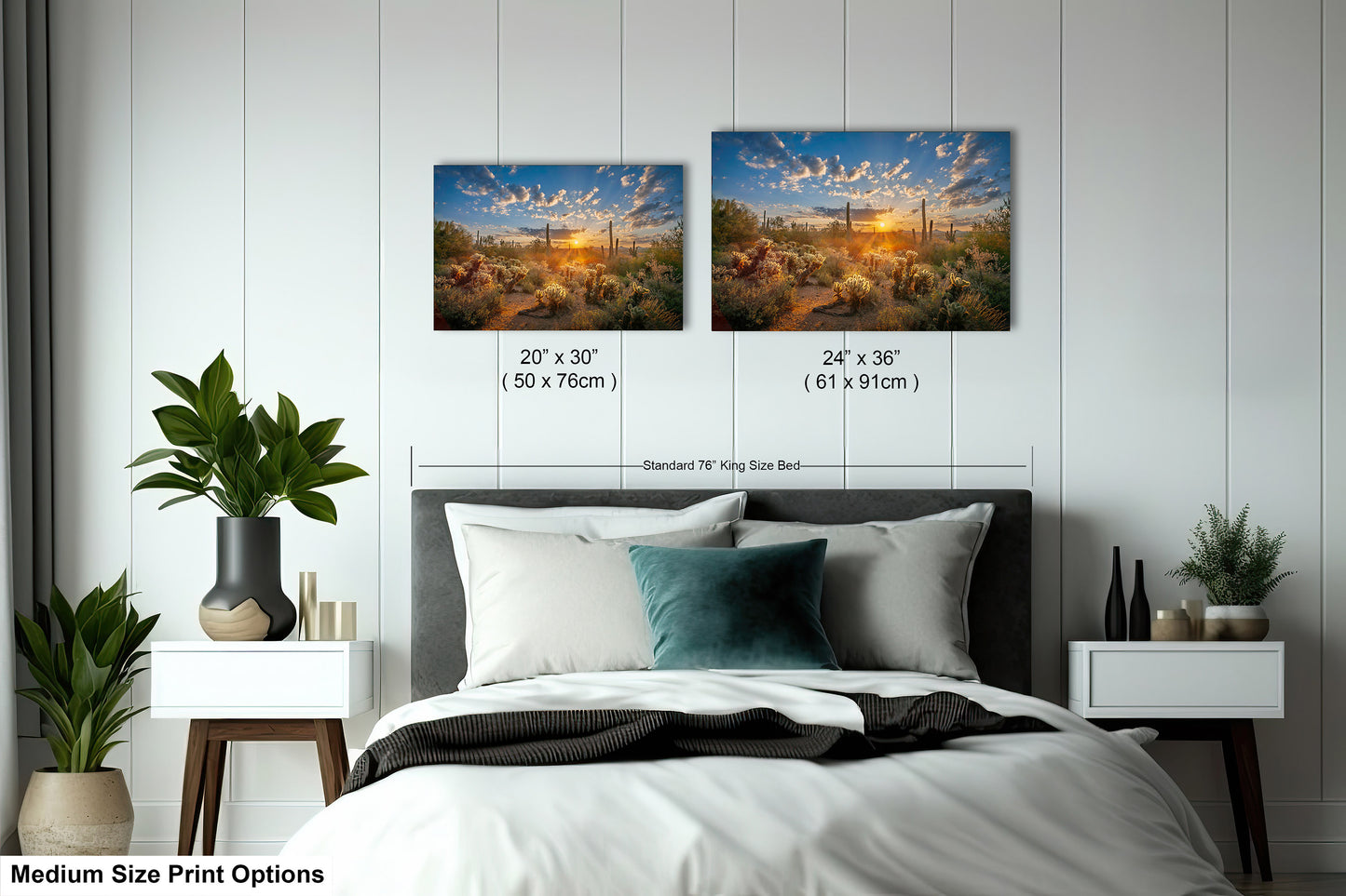 Sonoran Desert Sunrise, Carefree Arizona, backlit saguaro cactus and cholla cactus, Photography wall art