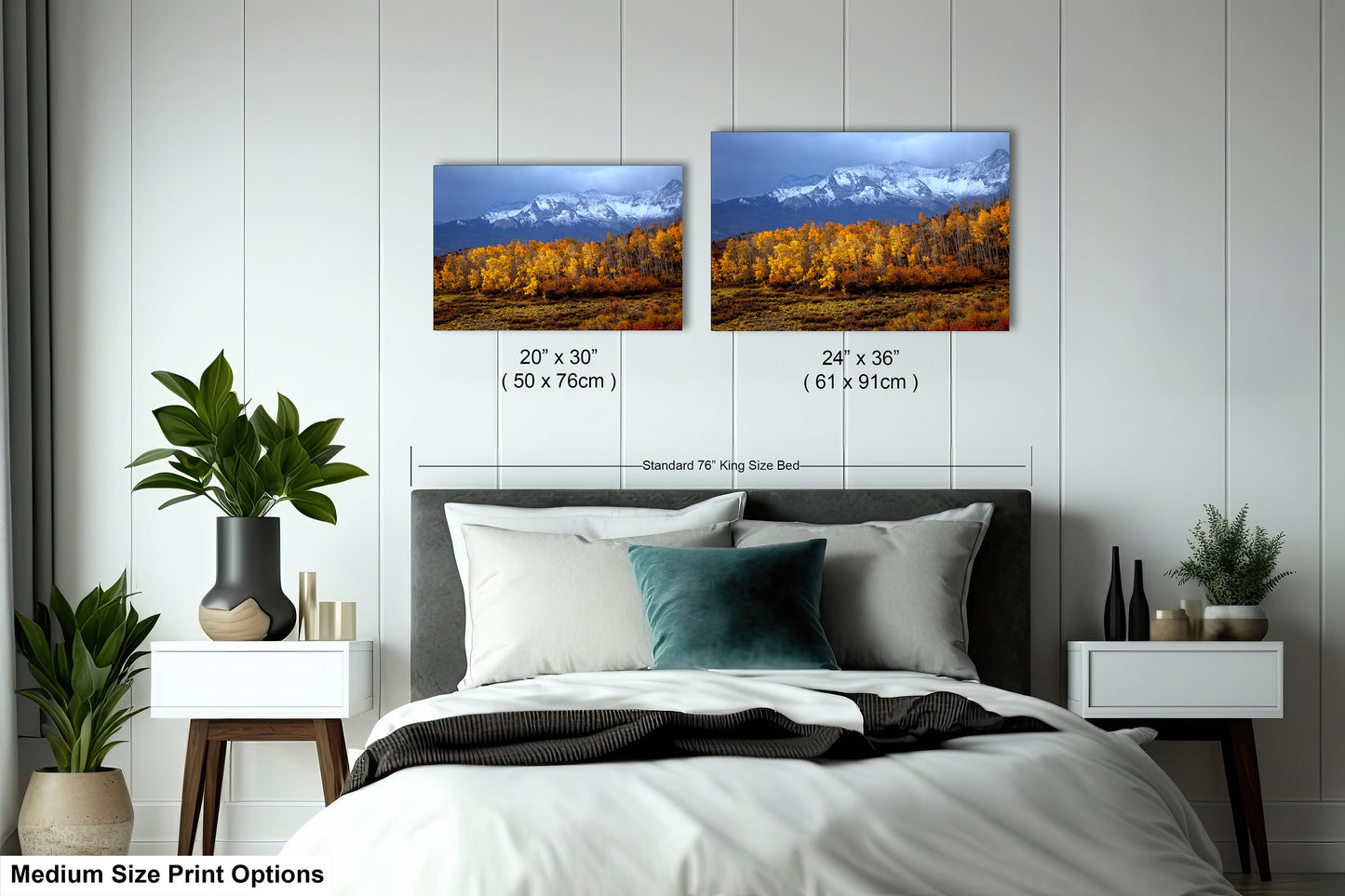 Colorado Mountains in Autumn, Aspens, Dallas Divide, Ridgway, Telluride, Photography wall art