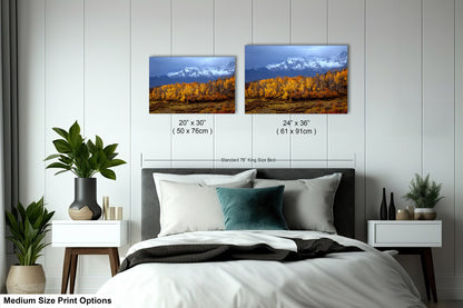 Colorado Mountains in Autumn, Aspens, Dallas Divide, Ridgway, Telluride, Photography wall art
