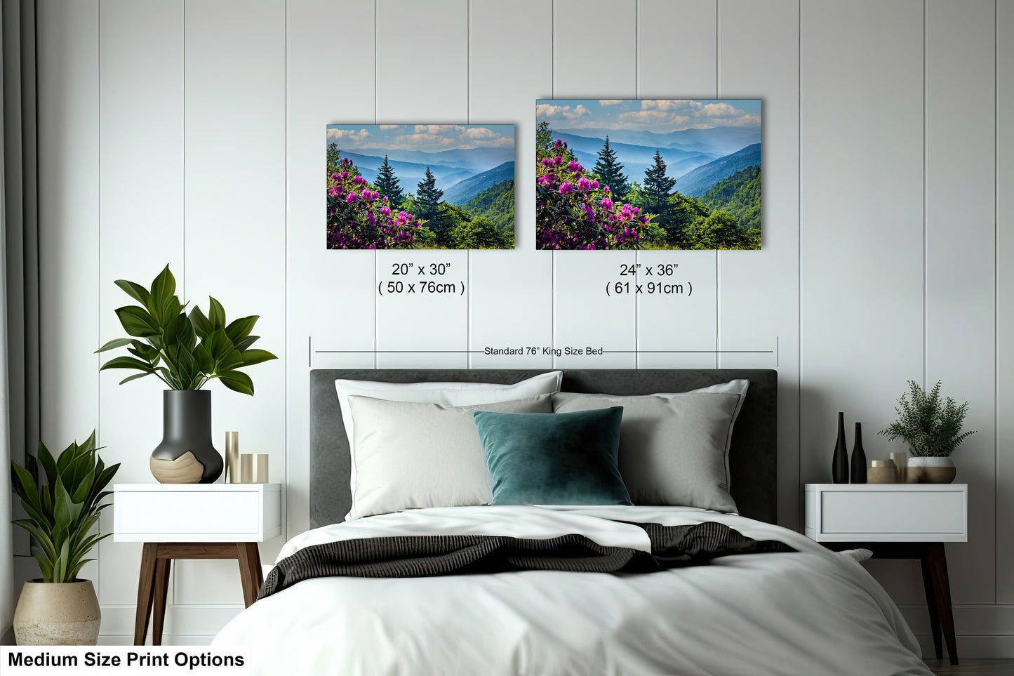 Blue Ridge Mountains and Rhododendrons, Blue Ridge Parkway, North Carolina, Photography wall art