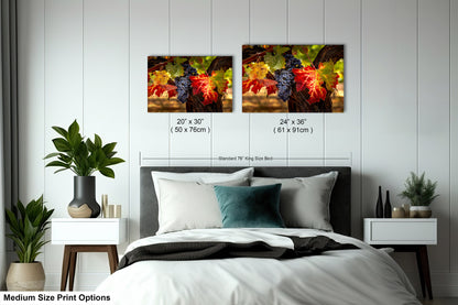 Vineyard Autumn Gold, California Vineyard, St Helena, Fall Vineyard Leaves, Grapes, Winery Art, Wine Wall Décor Kitchen Cellar