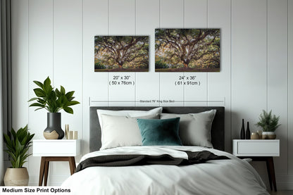 New Orleans Elegance: Wall Art Print Audubon Park's Iconic Tree of Life New Orleans, Louisiana Spanish Moss