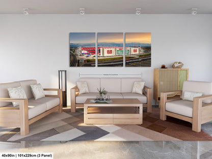 Levi's Stadium Wall Art | San Francisco 49ers Print & Bay Area Decor American Football Season for Man Cave or Game Room