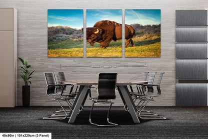 Buffalo Canvas Print, Bison Photograph, Yellowstone National Park Wildlife Photography, Wildlife Wall Art Decor, by Original Photographer