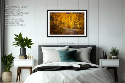 Colorado Aspens, Curvy road, autumn color, Little Cimarron Valley, Rocky Mountains, golden leaves, Photography wall art