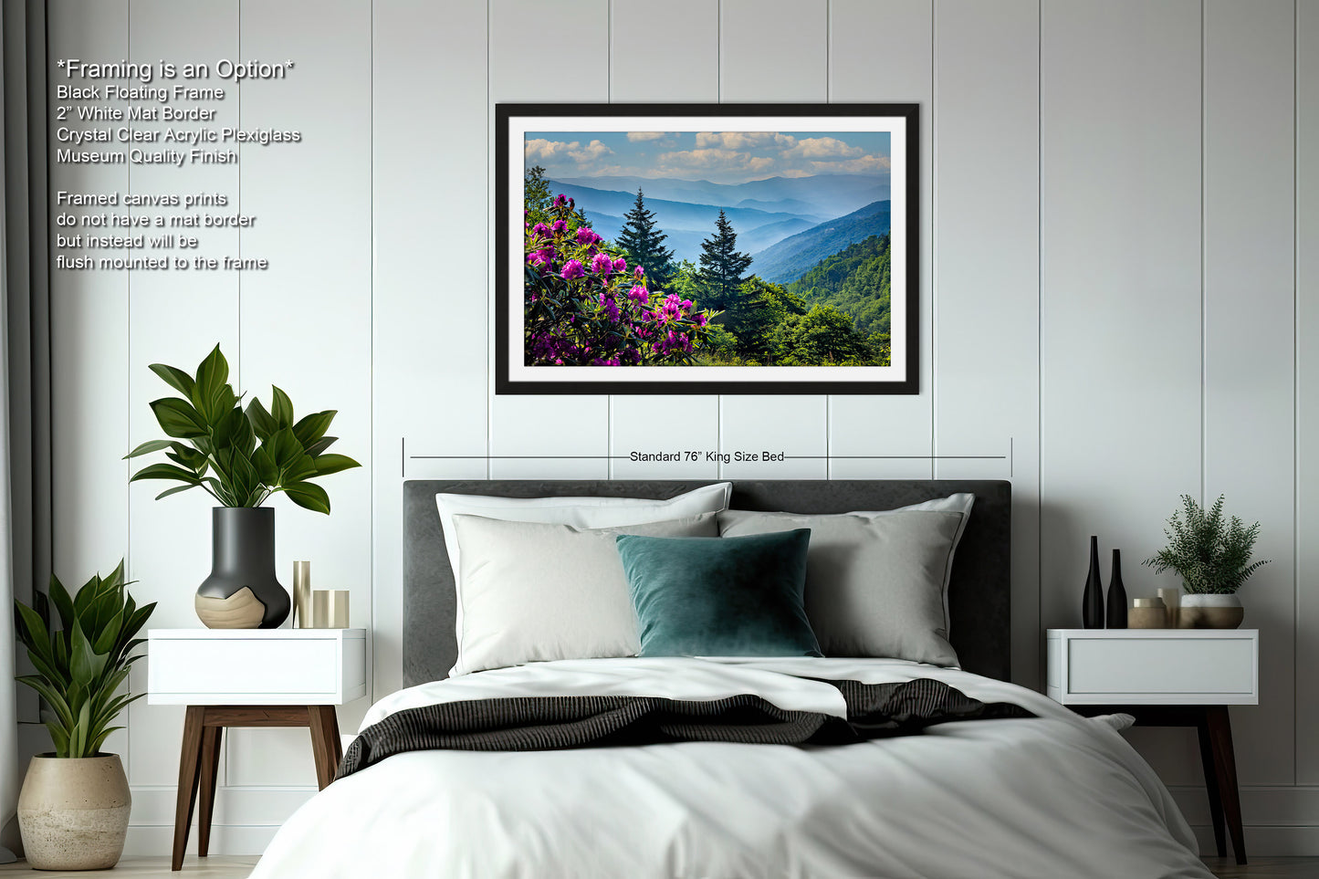 Blue Ridge Mountains and Rhododendrons, Blue Ridge Parkway, North Carolina, Photography wall art