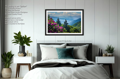 Blue Ridge Mountains and Rhododendrons, Blue Ridge Parkway, North Carolina, Photography wall art