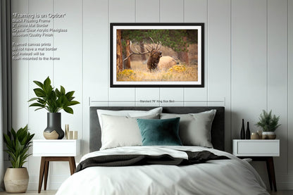 Bull Elk Bugling, Wildlife Wall Canvas, Rocky Mountain National Park, Colorado Canvas Art Prints, Elk Photography, Made in the USA