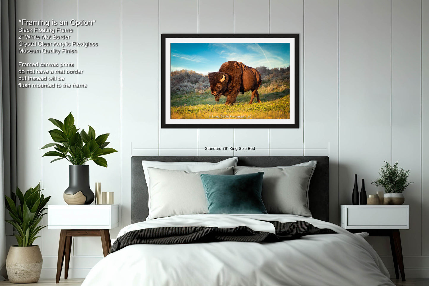 Buffalo Canvas Print, Bison Photograph, Yellowstone National Park Wildlife Photography, Wildlife Wall Art Decor, by Original Photographer