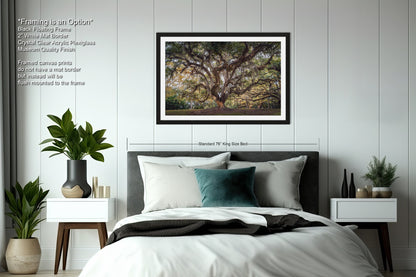 New Orleans Elegance: Wall Art Print Audubon Park's Iconic Tree of Life New Orleans, Louisiana Spanish Moss